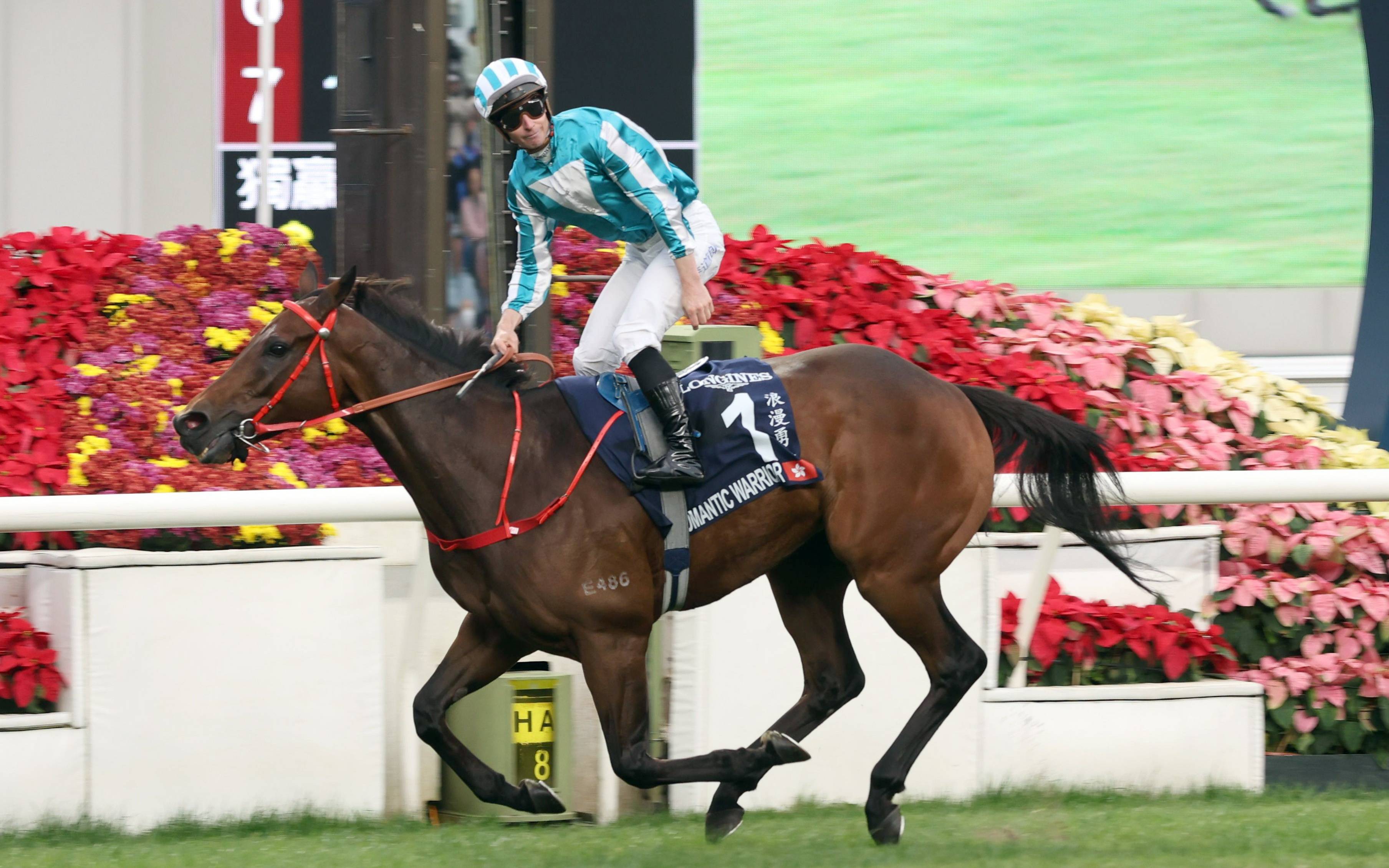 九游体育注册-“国际马球赛：优雅与力量的完美结合！”的简单介绍