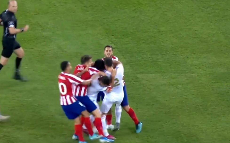 足球场上的动物入侵名场面的简单介绍 足球场上的动物入侵名场面的简单介绍