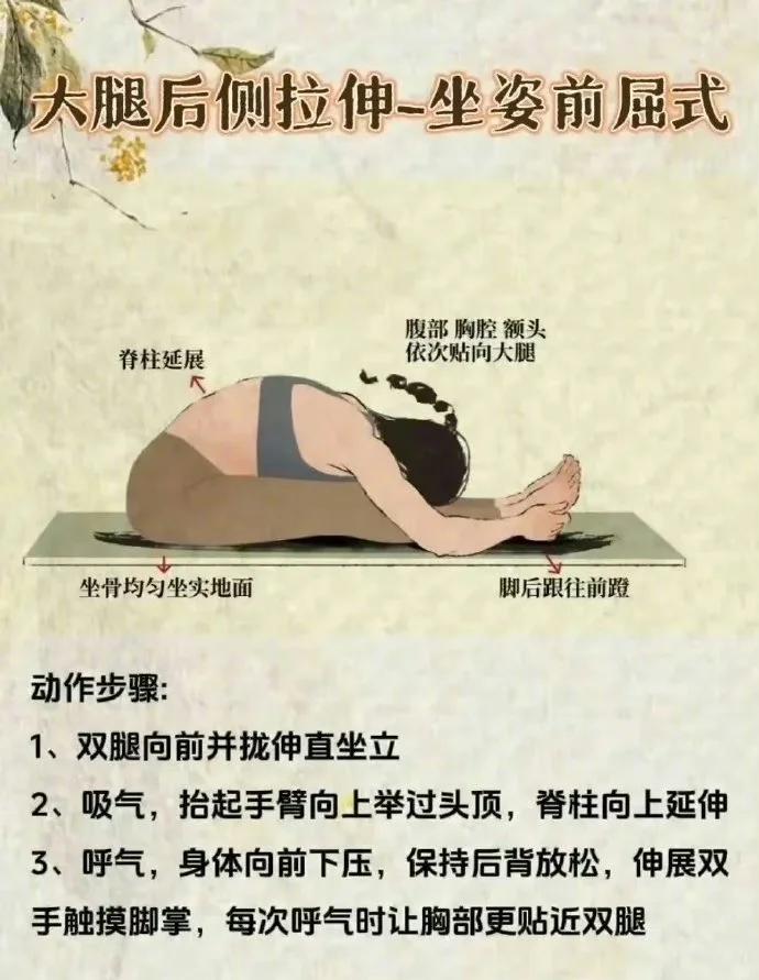 九游体育官方网站-为什么运动后要拉伸？科学告诉你答案